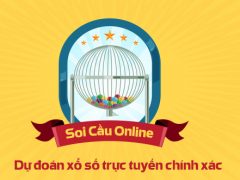 soi cau online